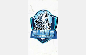 LOGO 3D